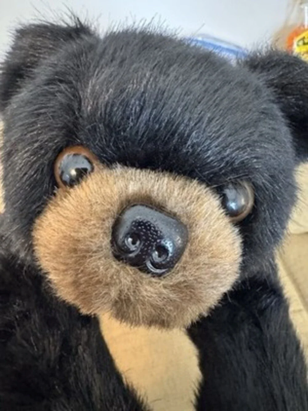 a Bearington Collection 